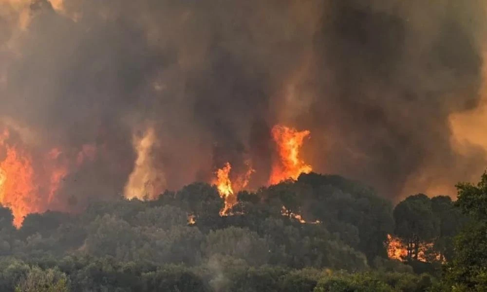 Φωτιά ξέσπασε στον Ωρωπό, στο χωριό Συκάμινο